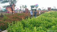 Di lokasi tersebut pengunjung juga bisa berfoto di beberapa spot alternatif lainnya. 