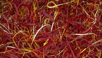 Satu kilogram saffron siap jual membutuhkan sekitar 150.000 bunga dan dapat dengan mudah dijual seharga $ 3.000-$ 4.000.  