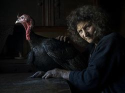 Karya Memukau Kontes Foto Hewan Agora, Jawaranya Banyak dari Indonesia