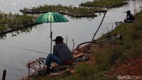 Masih banyak lagi warga yang datang ke tempat tersebut dan berkegiatan memancing untuk mengisi waktu senggang. Di sini kan tempatnya terbuka juga, jadi bisa meningkatkan imun, lumayan bisa hiburan gratis, pungkas Iman.  (Wisma Putra/detikcom)