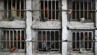 Meski ditutup, Salamanca terus mengeluarkan biaya pemeliharaan ayam-ayamnya.  
