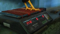 Maka dari itu Salamanca berupaya jika clubnya sudah dibuka kembali, ia akan menerapkan protokol kesehatan yang ketat untuk para peserta dan penonton yang hadir.  