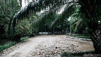 Terkait dengan biaya revitalisasi Taman Tebet, Wakil Gubernur DKI Jakarta, Ahmad Riza Patria mengatakan, revitalisasi Taman Tebet itu menggunakan dana koefisien lantai bangunan (KLB) dari swasta, bukan menggunakan ABPD. Namun, dia tidak menjelaskan secara rinci berapa anggaran untuk revitalisasi Taman Tebet.