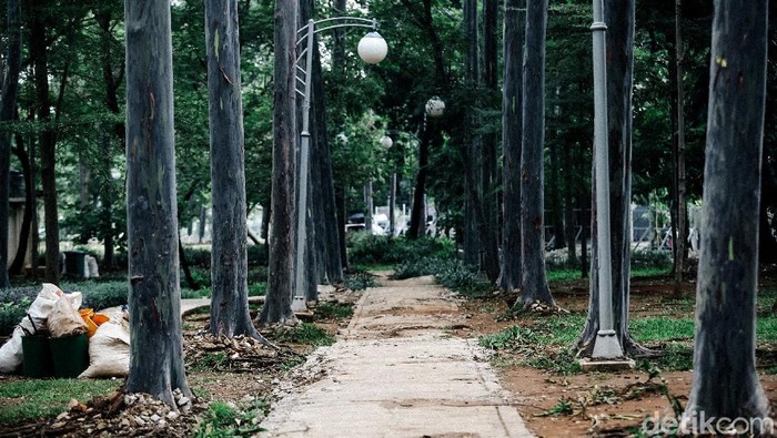 Proses revitalisasi Taman Tebet terus dilakukan. Taman itu diketahui direvitalisasi menjadi Eco Garden. Sudah sejauh mana progres revitalisasinya?
