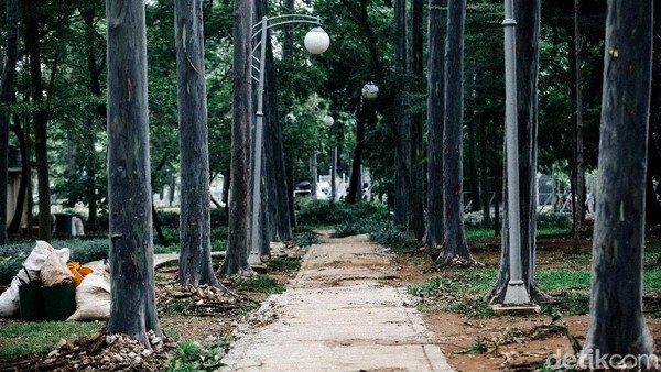 Proses revitalisasi Taman Tebet terus berlangsung, Jakarta, Senin (16/11/2020). Seperti diketahui, Taman Tebet tengah direvitalisasi menjadi Eco Garden. Proses revitalisasi Taman Tebet terus berlangsung, Jakarta, Senin (16/11/2020). Seperti diketahui, Taman Tebet tengah direvitalisasi menjadi Eco Garden.