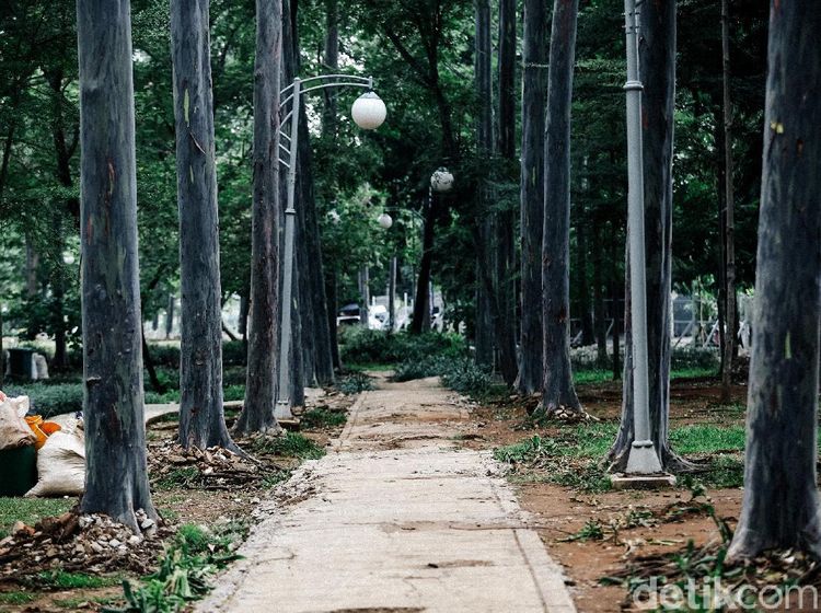 Menengok Revitalisasi Taman Tebet yang Dirombak Jadi Eco Garden