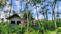 Siapa yang mau datang ke sini?