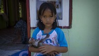 Berbagai upaya dilakukan pemerintah untuk membangun Pulau Laut agar tidak tertinggal dengan daerah-daerah lainnya di Indonesia.