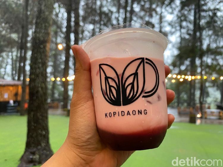 Ngopi Santai di Kafe Daong dengan Panoroma Pohon Pinus