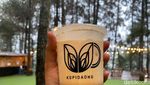 Ngopi Santai di Kafe Daong dengan Panoroma Pohon Pinus