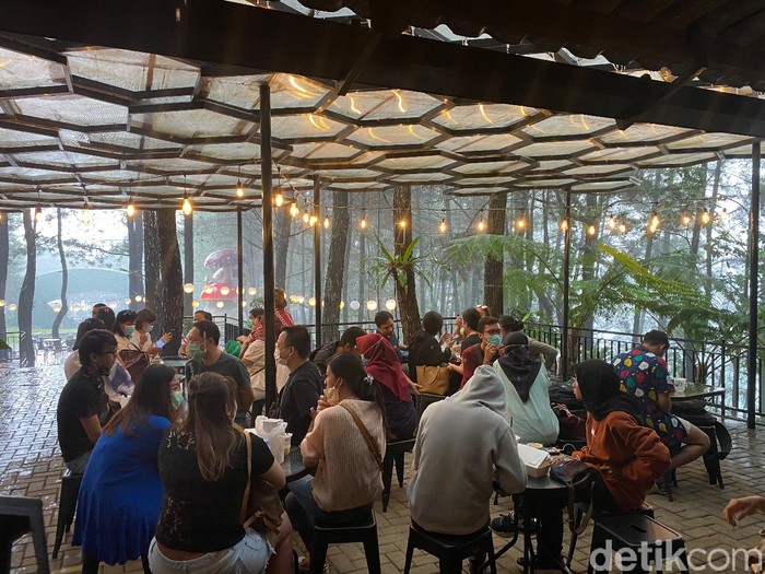 Ngopi Santai di Tengah Hutan Pinus yang Ada di Kafe Daong Ngopi Santai di Tengah Hutan Pinus yang Ada di Kafe Daong