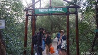 Setelah itu, pengunjung bisa menikmati trek mangrove. Jenis pohon mangrovenya pun beragam, dari avicennia alba dan lain-lain. Setidaknya sekitar 31 jenis pohon mangrove.