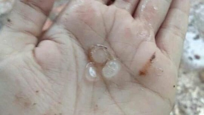Penampakan hujan es yang terjang Kabupaten Pekalongan Senin (16/11/2020) sore tadi. Butiran hujan es berukuran sebulir berondong jagung.