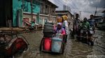 Potret Para Pencari Rezeki di Tengah Banjir Rob Muara Angke