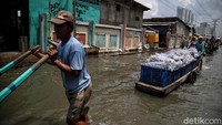 Menurut keterangan waerga, disaat banjir Rob seperti ini tidak akan menyurutkan semangat mereka untuk mencari rezeki.