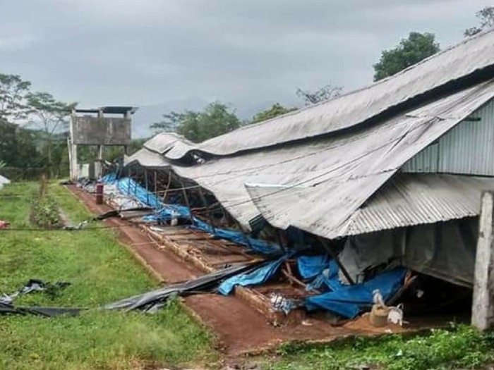 Puluhan kandang ayam ambruk diterjang puting beliung di Sukabumi