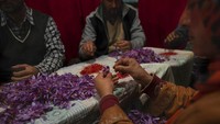Selanjutnya mereka memisahkan kelopak ungu dan mengambil tiga putik kecil halus yang kemudian dikeringkan di bawah sinar matahari, menjadi salah satu rempah-rempah paling mahal dan dicari oleh dunia.  