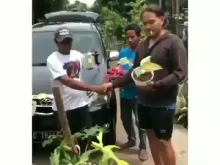 viral mobil dibarter tanaman hias