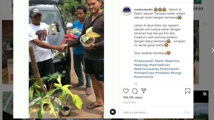 Viral mobil ditukar dengan tanaman