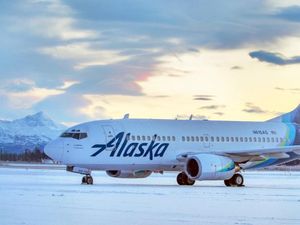 Pesawat Alaska Alami Kecelakaan Tabrak Beruang Saat Landing, Kok Bisa?