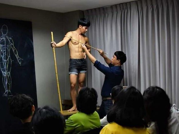 ART of Anatomy Academy ART of Anatomy Academy