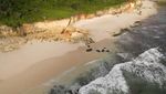 Potret Batu Cincin Pantai Mbawana Sebelum dan Sesudah Runtuh