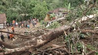 Hingga Selasa (17/11) tim SAR dan warga telah menemukan satu korban.  