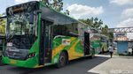Mantap! Bus Transmetro Deli Mulai Beroperasi di Medan