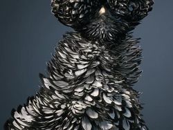 Foto Portrait Burung yang Tak Kalah Kece dari Model Manusia