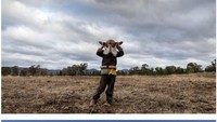 Di wilayah Barat Tengah di New South Wales, Australia, para petani terus berjuang melawan kekeringan pada tahun 2018. Penduduk setempat menyebut ini sebagai kekeringan terburuk sejak 1902. Namun curah hujan di sepanjang tahun 2020 membantu lahan pertanian mereka.   