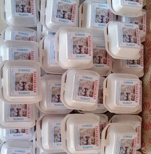 Netizen Gelar Tasyakuran Kelahiran Kucing dengan Berbagi Makanan dan Saweran