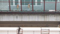 LRT Jabodebek akan mengangkut 500 ribu penumpang seharinya.