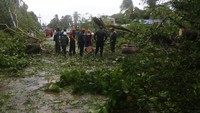 Petugas membersihkan pohon-pohon yang tumbang akibat diterjang badai.