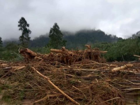 Banjir bandang terjadi di kawasan wisata Landak River, Langkat, Sumatera Utara. Tak ada korban jiwa akibat peristiwa tersebut.