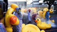 Alhasil terlihat bebek-bebek karet berserakan di lokasi terjadinya aksi demonstrasi.  