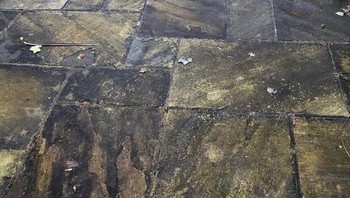 Warna dari lantai dasarnya pun langsung bersinar. Foto: cmoore54 via Bored Panda