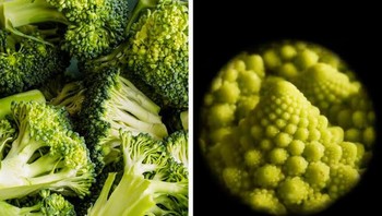 Sayur brokoli. Foto: Brightside