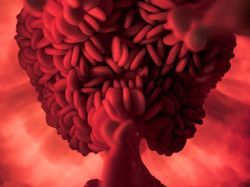 Begini Rupanya Kulit Hiu, Brokoli Hingga Rambut DIlihat Super Dekat