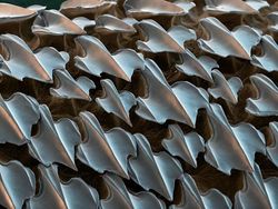 Begini Rupanya Kulit Hiu, Brokoli Hingga Rambut DIlihat Super Dekat