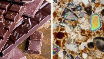 Potongan cokelat belgia. Foto: Brightside