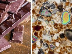 Begini Rupanya Kulit Hiu, Brokoli Hingga Rambut DIlihat Super Dekat