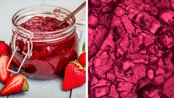 Buah jelly stroberi. Foto: Brightside