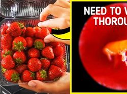 Begini Rupanya Kulit Hiu, Brokoli Hingga Rambut DIlihat Super Dekat