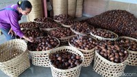 Salak-salak dari kawasan Kabupaten Magelang itu biasanya diekspor ke sejumlah wilayah di Indonesia hingga mancanegara, mulai dari Kalimantan, Singapura hingga China.