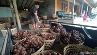 Pasalnya, terbatasnya akses keluar masuk antar negara jadi salah satu kendala ekspor buah salak tersebut.