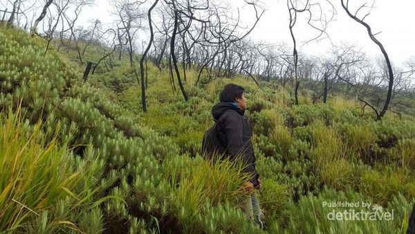Gunung Ciremai