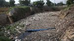 Jorok! Kali Jambe Bekasi Dipenuhi Sampah