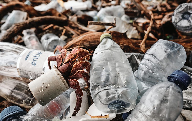 Ocean Photography Awards 2020 Ocean Photography Awards 2020
