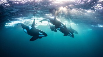 Karya nominator Adventure Photographer of The Year Todd Thimios. Foto: Ocean Photography Awards