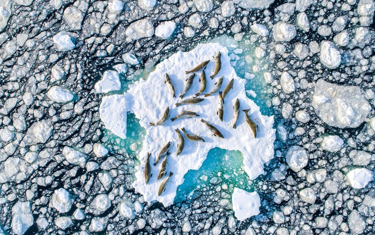 Ocean Photography Awards 2020 Ocean Photography Awards 2020